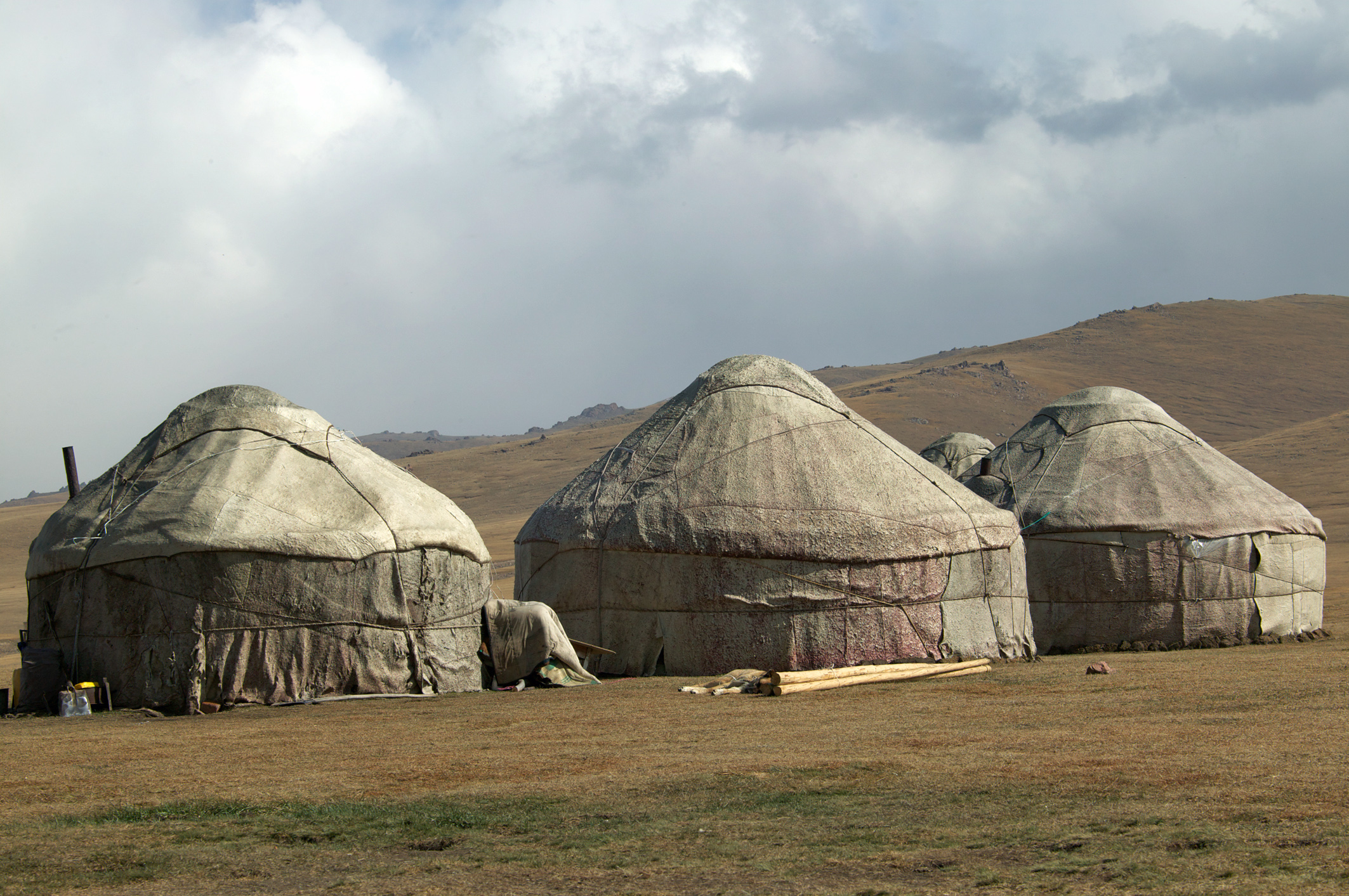 Four yurts on a grassy plain under a cloudy sky.